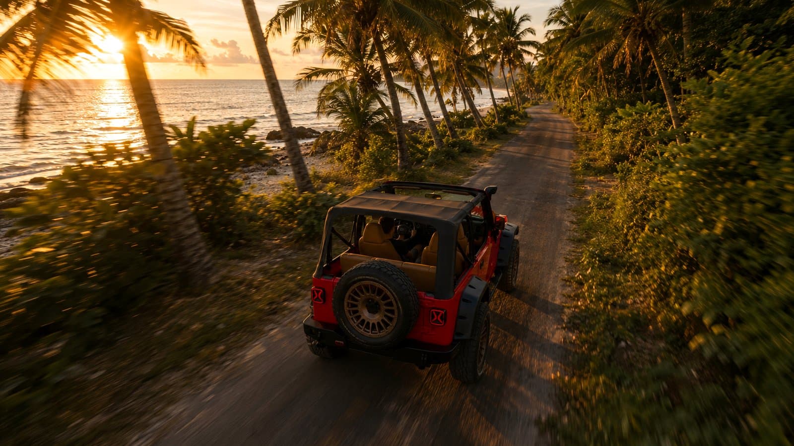 Gliding past the palm groves